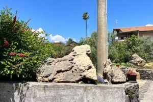 B&B la casa del pavone