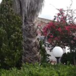 B&B La Casa dell’Artista