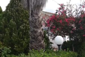 B&B La Casa dell’Artista