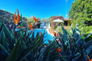 B&B La Casa Particular