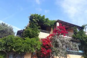 B&B La Chicca di Francesca