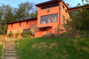 B&B La Cinghialina