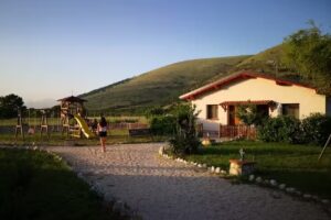 B&B La Collina di Peppino