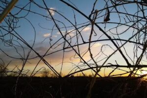 B&B La Commenda “chiuso”