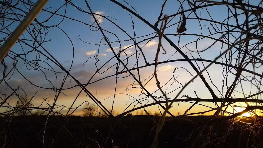 B&B La Commenda “chiuso”