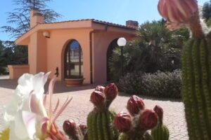 B&B La Dimora di Lancillotto