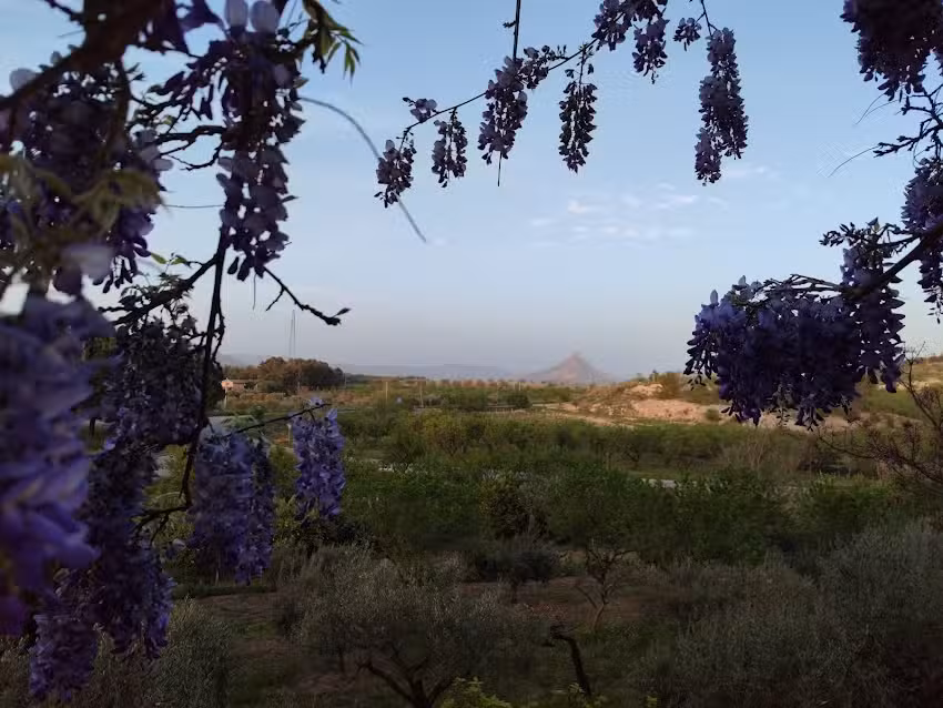 B & B La Favara di Salemi Agostino