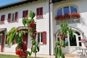 B&B la Mafalda in Oltrepo