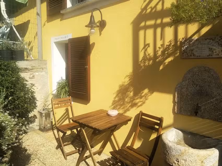 B&B La Mora Selvatica CIN IT103061C1AD6WVFVY