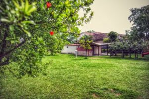 B&B “La Rinascita”