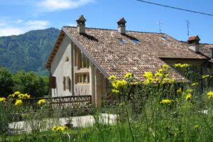 B&B La valle dell’Albero