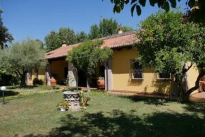 B&B La Vigna di Federico CIN IT028072B4VPYS8GLC