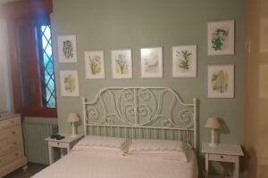 B&B La Villa Mediterranea