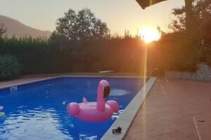 B&b Lady Food Location