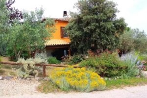 B&B Landhaus Fonte Pecorale