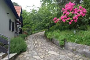 B&B Le Camelie del Bosco