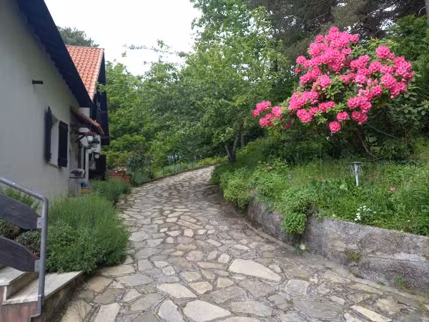 B&B Le Camelie del Bosco