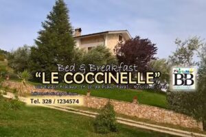 B&B Le Coccinelle