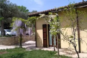 B&B Le fontanelle e l’uliveto