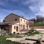 b&b Le rondini