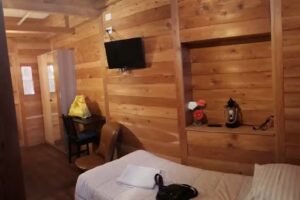 B&b Lo scoiattolo e la noce