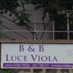 B&B Luce Viola