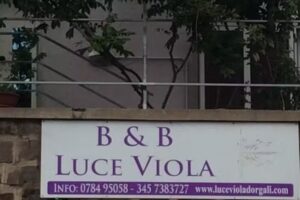 B&B Luce Viola