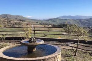 B&B MADONIE Guest House