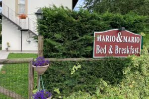 B&B Mario & Mario
