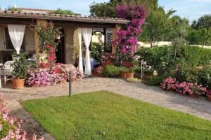 B&B Nettuno