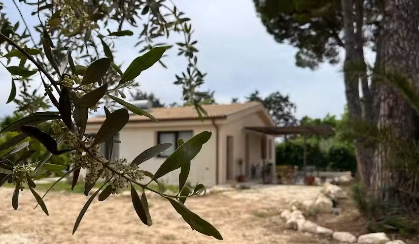 B&b Noto Monstera SicilianExperience