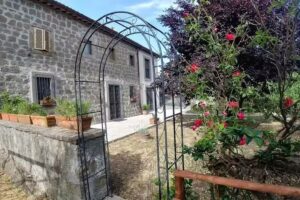 B&B Paternocchio