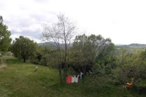 B&B Podere Rosignano