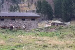 B&B PRA’ DEI CERVI