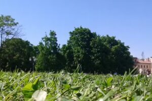 B&B Prato della Valle