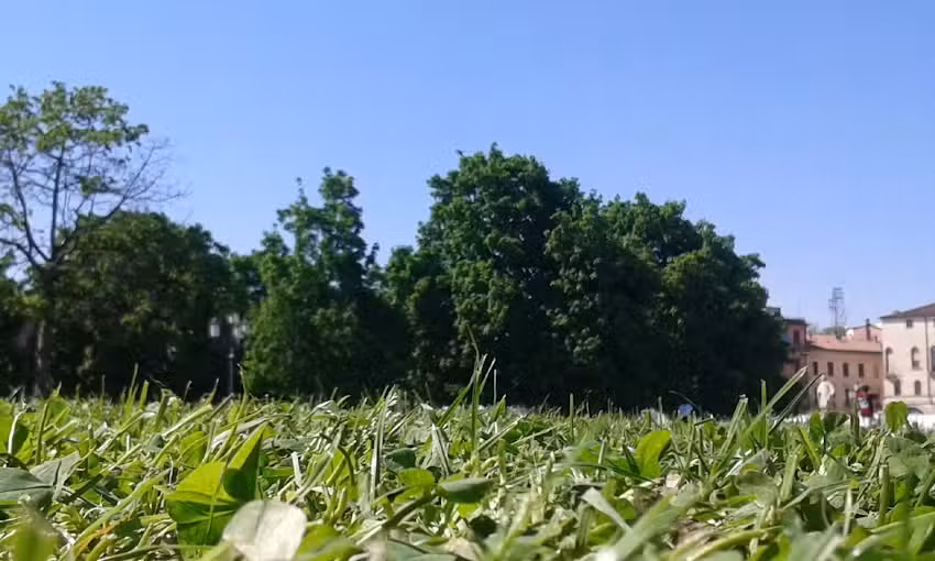 B&B Prato della Valle