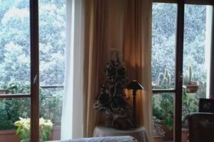 B&B Royal Palace Room