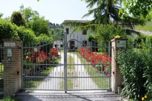 B&B Sasso fiorito