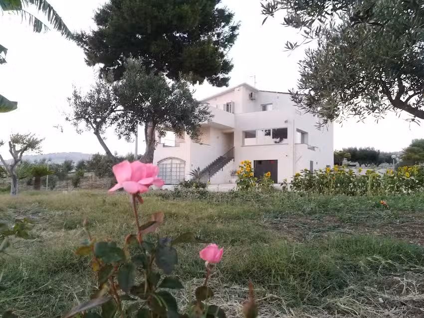 B&B Sole Della Valle