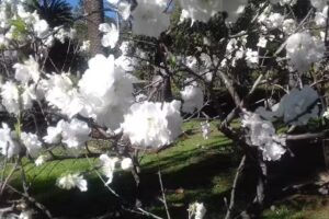 B&B Stazione Centrale