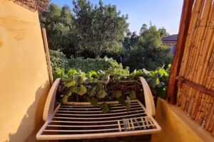 B&B Su Tostainu (La Tartaruga)