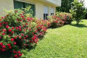 B&B Terra del Sole Valmontone