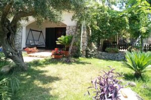 B&B The Olive’s Hill