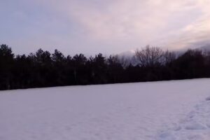 B&B Torre d’Acquaviva