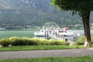 B&B Tulipano CIN IT017082C1OUCVNP82