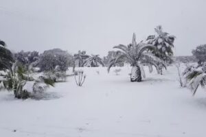 B&B Ulivi d’Argento