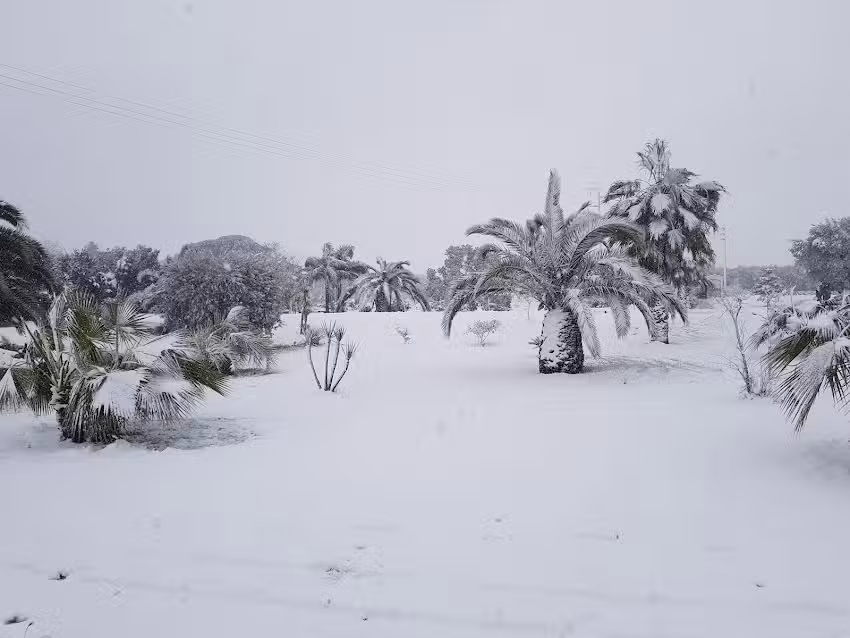 B&B Ulivi d’Argento