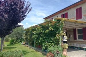 B&B Vecchio Casale Margherita