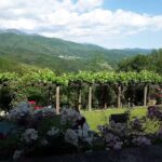 B&B Villa dei Roseti