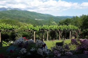 B&B Villa dei Roseti